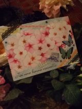 [再入荷] 春爛漫「蝶と桜」ポストカード