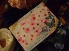 他の写真を見る1: [再入荷] 春爛漫「蝶と桜」ポストカード
