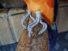他の写真を見る2: ルリコンゴウ風インコ・鳥の模型