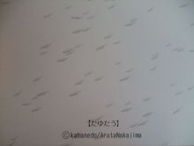 他の写真を見る3: 【再入荷】「たゆたう」Arata Nakajima　ポストカード