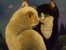 他の写真を見る2: Renate Koblinger Cat Post Card 