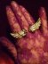 画像1: 【再入荷】Antique Gold Wing Ring (1)