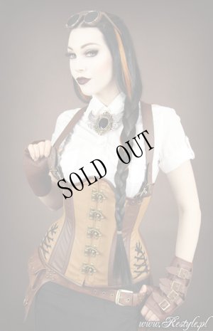 画像4: 【再入荷】" STEAMPUNK SPLENDOR" アームストラップ アンダーバスト古典フック胴骨コルセット