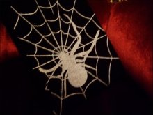 他の写真を見る2: 蜘蛛の巣ストッキング