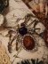 画像4: 金古美ストーンでアンティークテイスト　蜘蛛のネックレス (4)