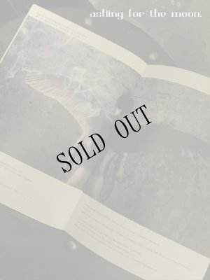 画像9: [在庫限定SALE]　Skullcandle.  [MT 017]