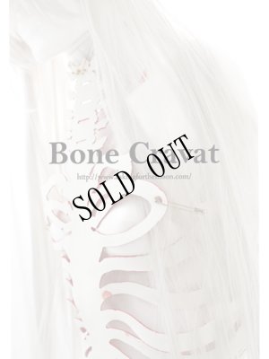 画像1: [SALE] Bone cravate EVE 