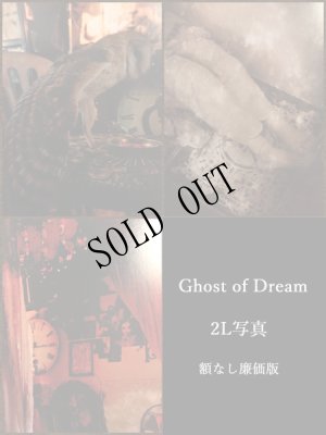 画像1: -Ghost of Dream-2Ｌ写真