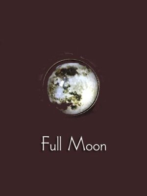 画像1: [再入荷]  Full Moon　一個売り・満月のピアス
