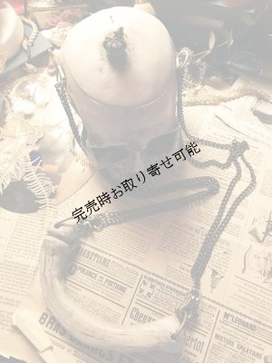画像12: [再入荷] 髑髏上顎　チェーンバッグ