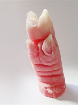 画像2: [SALE]  豚足　pig's feet_candle.