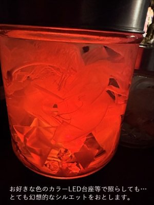 画像7: No.26：月下美人標本