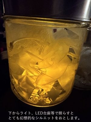 画像5: No.26：月下美人標本