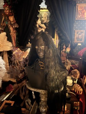 画像3: フリージアン(friesian)