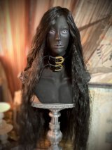 フリージアン(friesian)