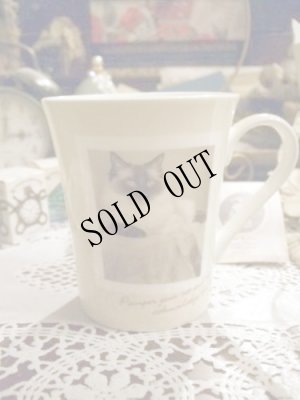 画像1: [数量限定]Sepia Cat Mug　cup