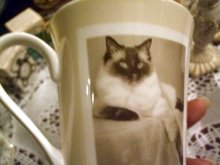 他の写真を見る2: [数量限定]Sepia Cat Mug　cup