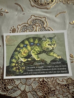 画像2: フランス製　キャットポストカード　Septembre Chameleon