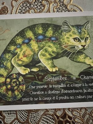 画像1: フランス製　キャットポストカード　Septembre Chameleon