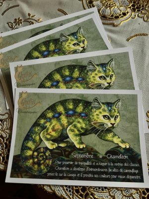 画像5: フランス製　キャットポストカード　Septembre Chameleon