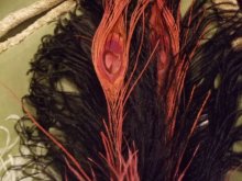 他の写真を見る1: オーストリッチ羽飾り　王道のロマンチックヘアクリップ