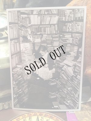 画像3: ドイツ製　モノクロ写真　ポストカード