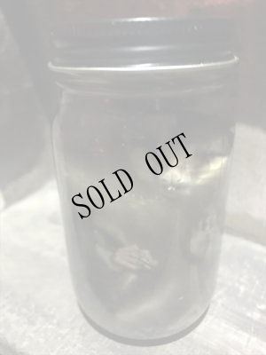 画像3: NeQro　液浸標本「モモンガ」