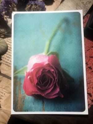 画像1: ドイツ製ポストカード　Rose
