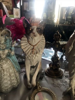 画像15: [再入荷] クラウン キャット