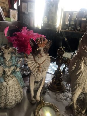 画像14: [再入荷] クラウン キャット