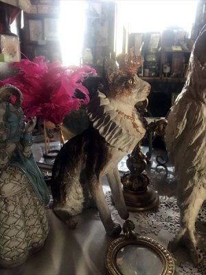 画像13: [再入荷] クラウン キャット