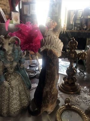 画像11: [再入荷] クラウン キャット