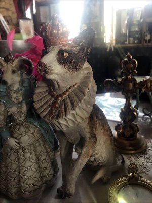 画像8: [再入荷] クラウン キャット