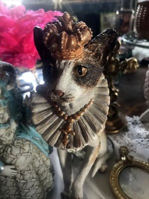 画像7: [再入荷] クラウン キャット