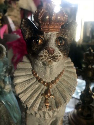 画像5: [再入荷] クラウン キャット