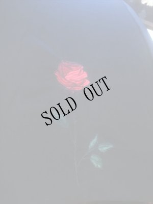 画像14: 薔薇刺繍・かわず張り　婦人長傘　遮光加工