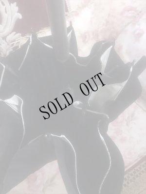 画像11: 薔薇刺繍・かわず張り　婦人長傘　遮光加工