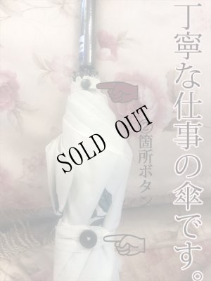 画像5: 薔薇刺繍・かわず張り　婦人長傘　遮光加工