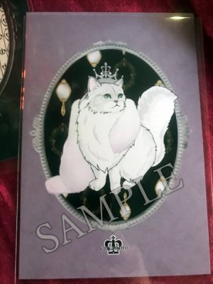 画像4: キャッツイラスト　ポストカード