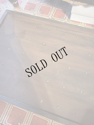 画像5: 造形作家　伽椰子　オブジェ木箱「空想卵標本」