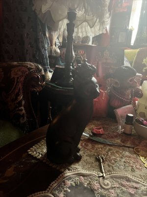 画像6: クラウンキャット　黒猫　オブジェ