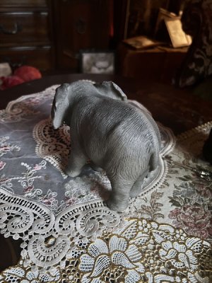 画像6: 小象のオブジェ