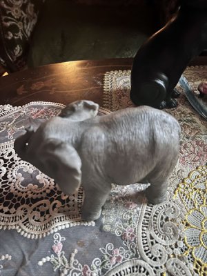 画像5: 小象のオブジェ