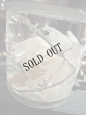 画像4: No.23：月下美人標本