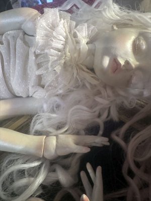 画像17: 球体関節人形「バロット(午睡)」