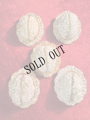 画像5: 白痴のブローチ　＃2-＃6