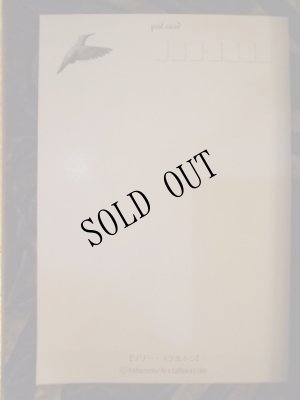 画像3: 【再入荷】「リリー・スケルトン」」Arata Nakajima　ポストカード (3)