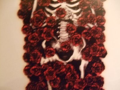 画像2: 【再入荷】「紅花葬」Arata Nakajima　ポストカード