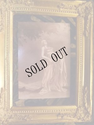 画像2: 【再入荷】「蟲惑」Arata Nakajima ポストカード (2)