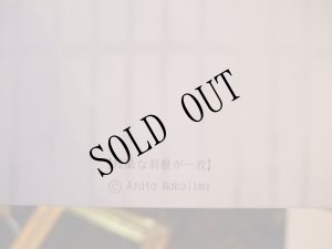 画像3: 【再入荷】「残酷な羽根が一枚」」Arata Nakajima　ポストカード (3)